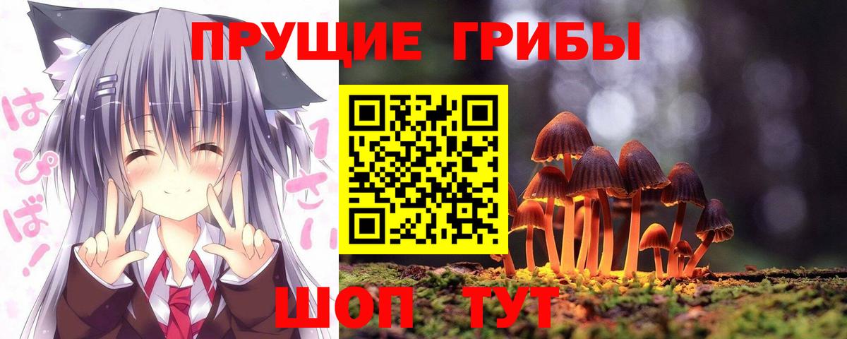 Сосновоборск  Псилоцибиновые грибы прущие грибы  Вход с VPN  Галлюциногенные грибы мицелий 